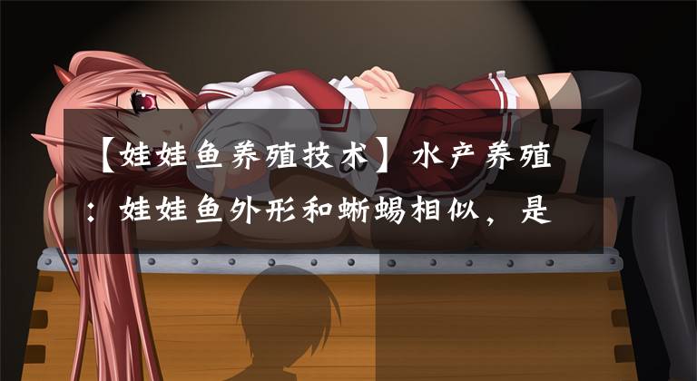 【娃娃鱼养殖技术】水产养殖:娃娃鱼外形和蜥蜴相似,是种食肉性动物,对水质要求高