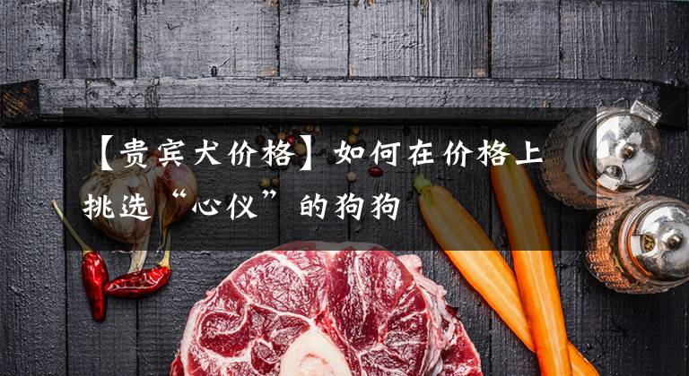 【贵宾犬价格】如何在价格上挑选“心仪”的狗狗