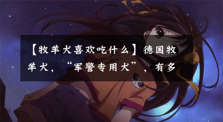 【牧羊犬喜欢吃什么】德国牧羊犬，“军警专用犬”，有多少人当宠物犬饲养？