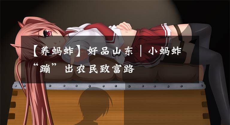 【养蚂蚱】好品山东|小蚂蚱“蹦”出农民致富路