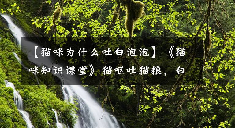 【猫咪为什么吐白泡泡】《猫咪知识课堂》猫呕吐猫粮,白色泡沫原因及治疗方法