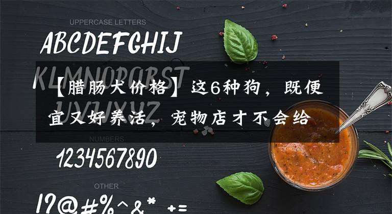 【腊肠犬价格】这6种狗，既便宜又好养活，宠物店才不会给你推荐