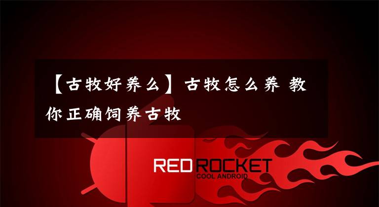 【古牧好养么】古牧怎么养 教你正确饲养古牧