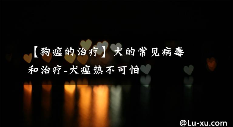 【狗瘟的治疗】犬的常见病毒和治疗-犬瘟热不可怕