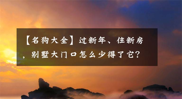 【名狗大全】过新年、住新房，别墅大门口怎么少得了它？200幅狗年春联大汇总