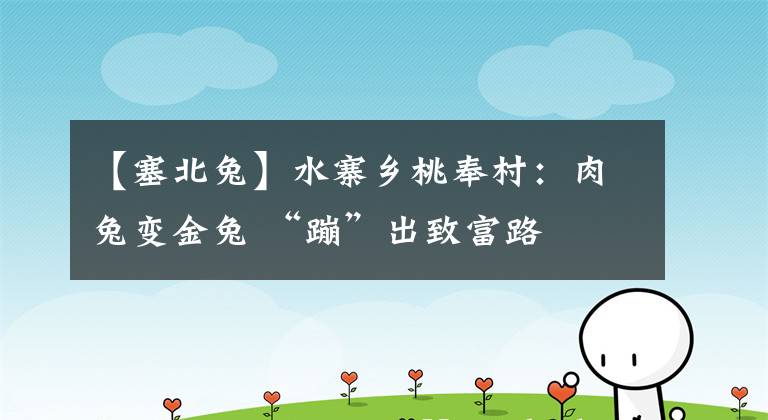 【塞北兔】水寨乡桃奉村：肉兔变金兔 “蹦”出致富路