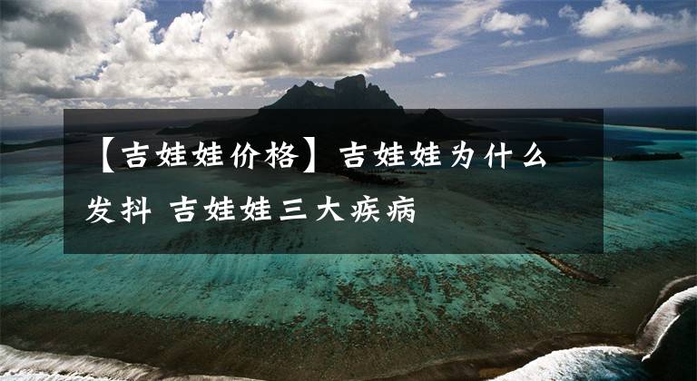 【吉娃娃价格】吉娃娃为什么发抖 吉娃娃三大疾病