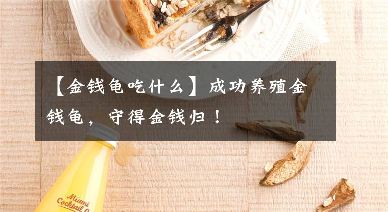 【金钱龟吃什么】成功养殖金钱龟，守得金钱归！