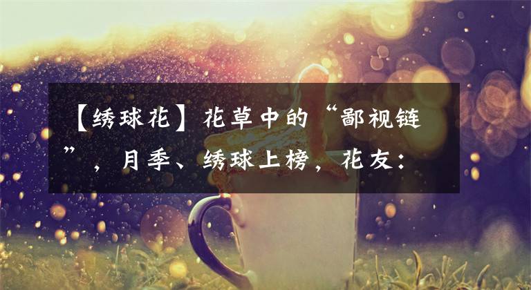 【绣球花】花草中的“鄙视链”，月季、绣球上榜，花友：太真实了