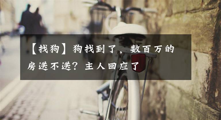 【找狗】狗找到了,数百万的房送不送?主人回应了