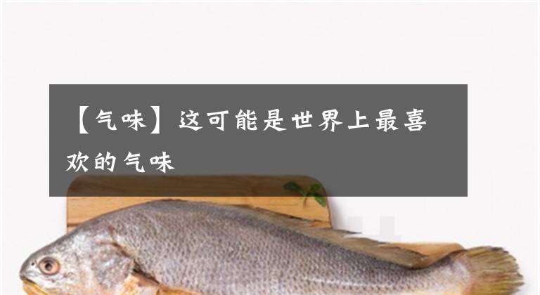 【气味】这可能是世界上最喜欢的气味