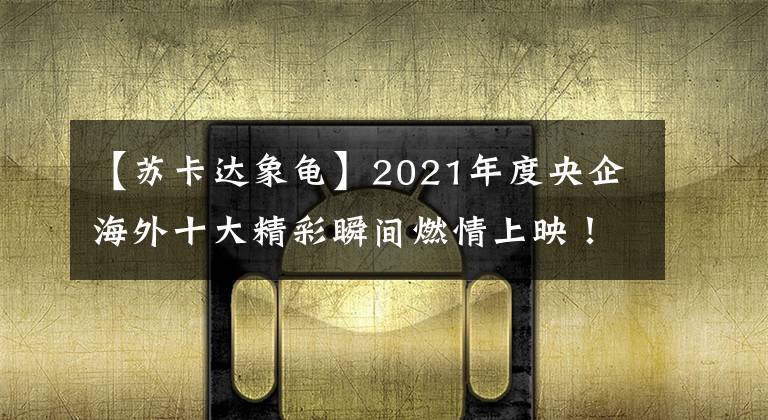 【苏卡达象龟】2021年度央企海外十大精彩瞬间燃情上映!