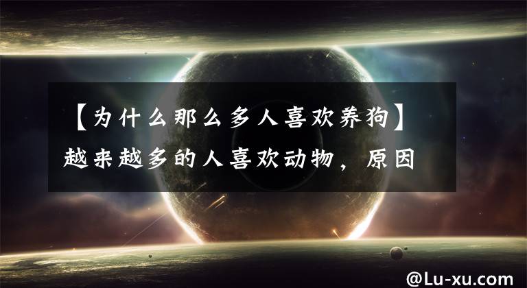 【为什么那么多人喜欢养狗】越来越多的人喜欢动物,原因既然是......