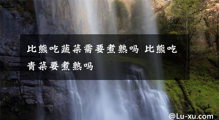 比熊吃蔬菜需要煮熟吗 比熊吃青菜要煮熟吗