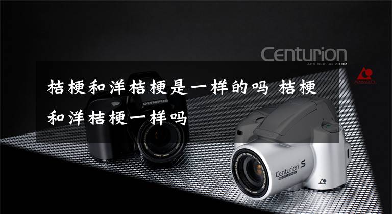 桔梗和洋桔梗是一样的吗 桔梗和洋桔梗一样吗