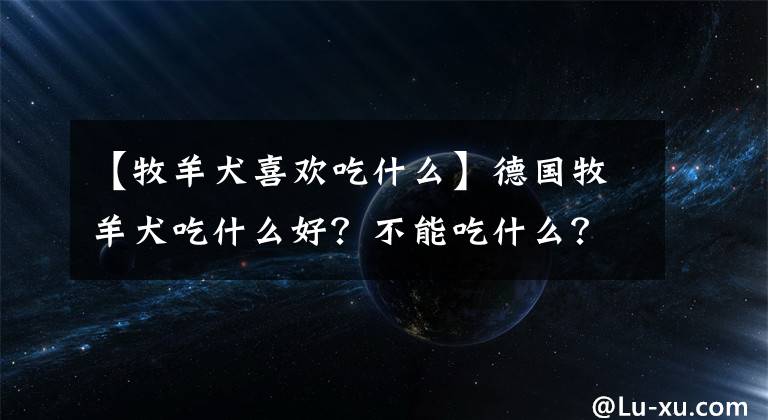 【牧羊犬喜欢吃什么】德国牧羊犬吃什么好？不能吃什么？