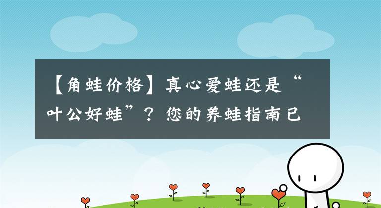 【角蛙价格】真心爱蛙还是“叶公好蛙”？您的养蛙指南已到货！