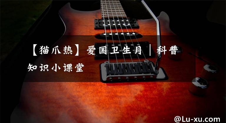 【猫爪热】爱国卫生月|科普知识小课堂