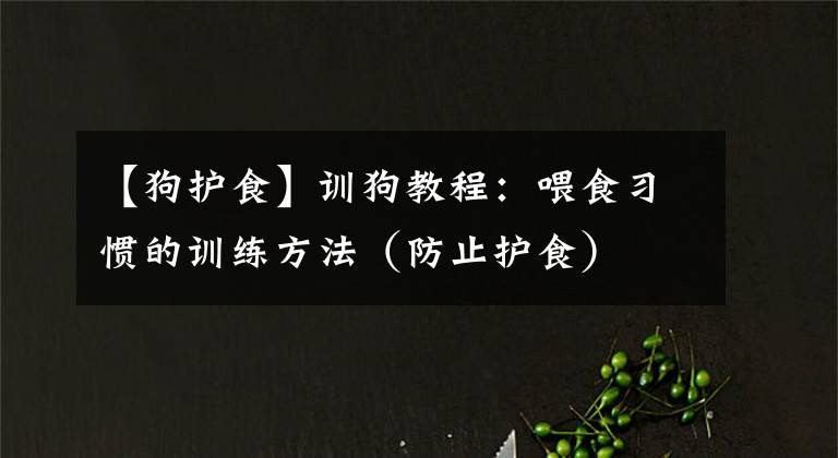 【狗护食】训狗教程:喂食习惯的训练方法(防止护食)