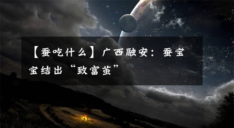 【蚕吃什么】广西融安:蚕宝宝结出“致富茧”