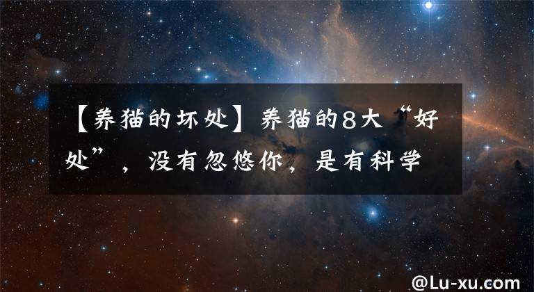 【养猫的坏处】养猫的8大“好处”，没有忽悠你，是有科学依据的