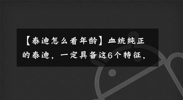 【泰迪怎么看年龄】血统纯正的泰迪,一定具备这6个特征,很多铲屎官还不知道