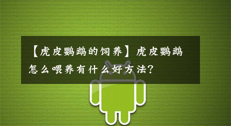 【虎皮鹦鹉的饲养】虎皮鹦鹉怎么喂养有什么好方法？