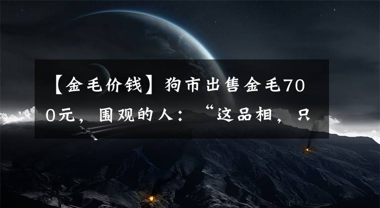 【金毛价钱】狗市出售金毛700元，围观的人：“这品相，只能当肉狗卖！”