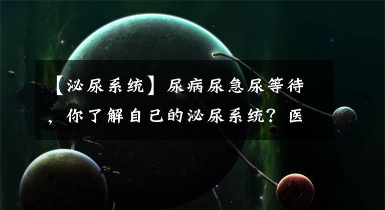 【泌尿系统】尿病尿急尿等待，你了解自己的泌尿系统？医生：了解是预防的前提