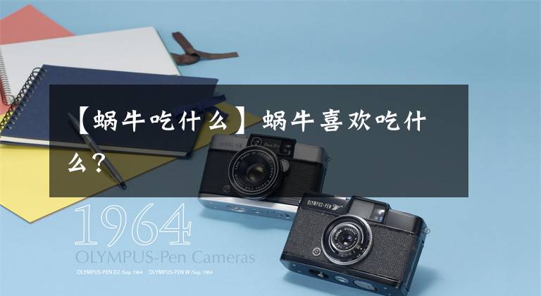 【蜗牛吃什么】蜗牛喜欢吃什么？