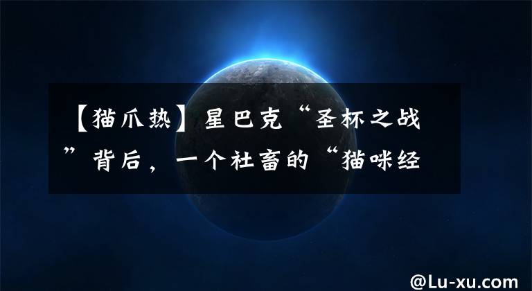 【猫爪热】星巴克“圣杯之战”背后，一个社畜的“猫咪经济学”真香定律