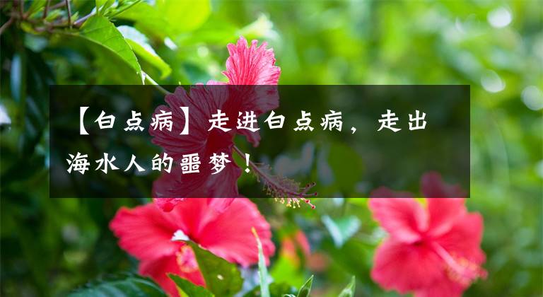 【白点病】走进白点病，走出海水人的噩梦！