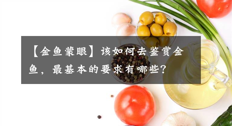 【金鱼蒙眼】该如何去鉴赏金鱼,最基本的要求有哪些?