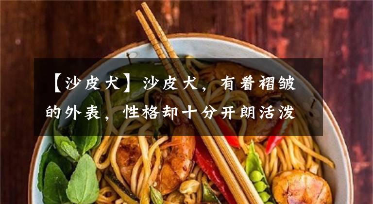 【沙皮犬】沙皮犬,有着褶皱的外表,性格却十分开朗活泼