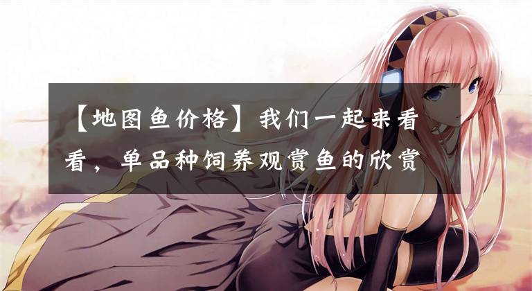 【地图鱼价格】我们一起来看看,单品种饲养观赏鱼的欣赏效果好,还是多品种好?