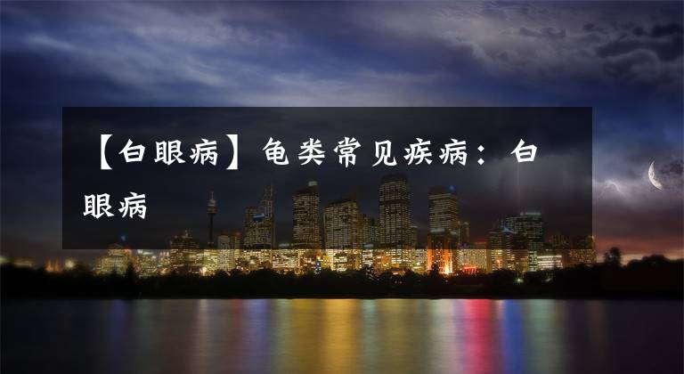 【白眼病】龟类常见疾病:白眼病