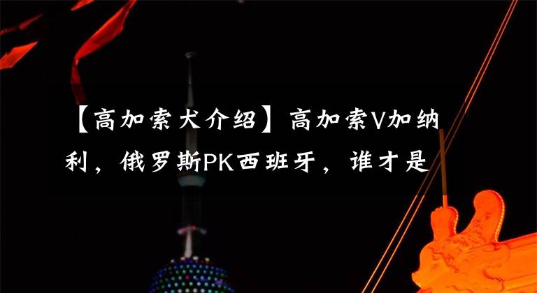 【高加索犬介绍】高加索V加纳利，俄罗斯PK西班牙，谁才是“犬中之王”