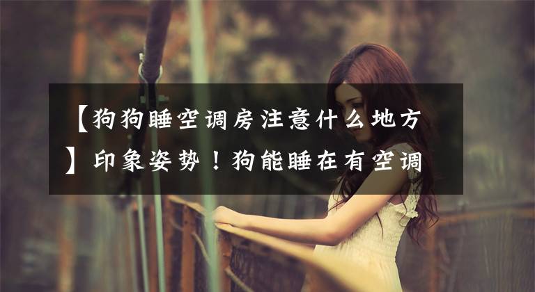 【狗狗睡空调房注意什么地方】印象姿势!狗能睡在有空调的房间里吗?