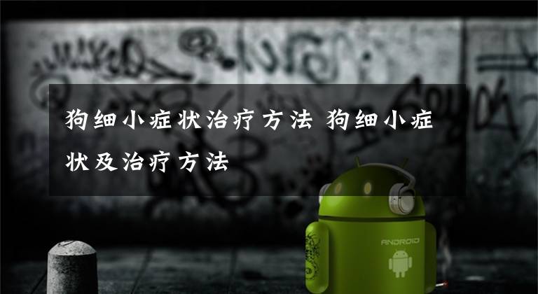 狗细小症状治疗方法 狗细小症状及治疗方法