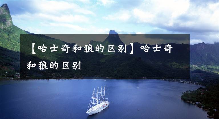 【哈士奇和狼的区别】哈士奇和狼的区别