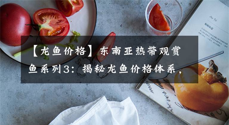 【龙鱼价格】东南亚热带观赏鱼系列3:揭秘龙鱼价格体系,500元能入手金龙鱼