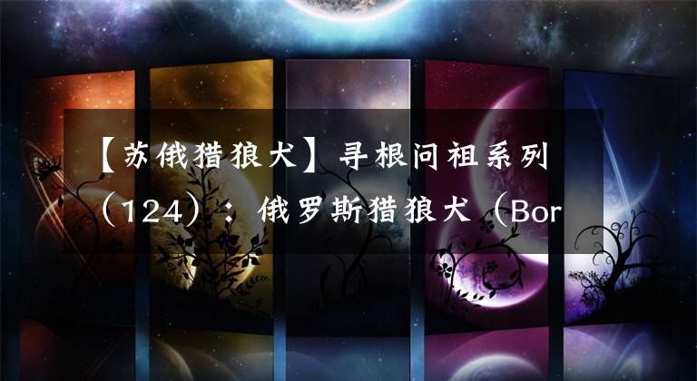 【苏俄猎狼犬】寻根问祖系列（124）：俄罗斯猎狼犬（Borzoi）