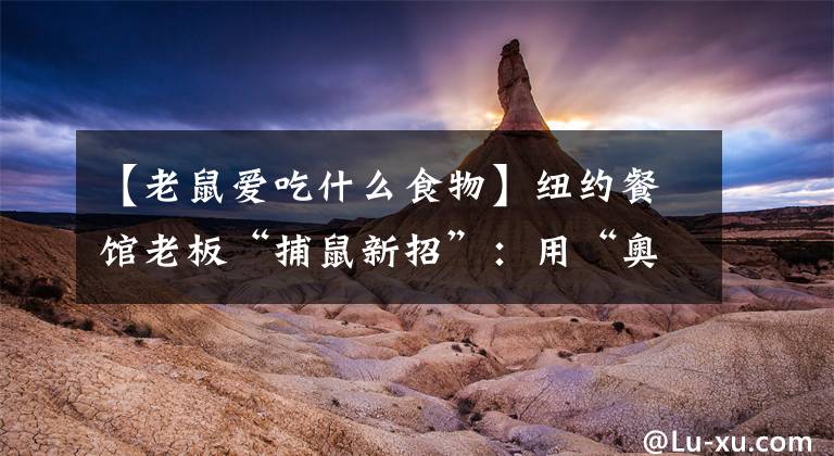【老鼠爱吃什么食物】纽约餐馆老板“捕鼠新招”：用“奥利奥陷阱”诱捕老鼠