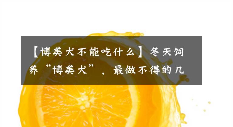 【博美犬不能吃什么】冬天饲养“博美犬”，最做不得的几件事，你做了没？