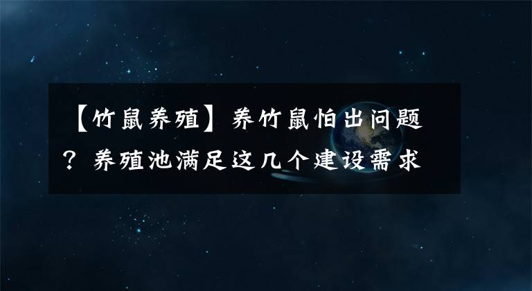 【竹鼠养殖】养竹鼠怕出问题？养殖池满足这几个建设需求就没事