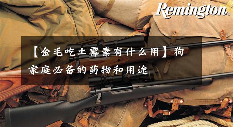【金毛吃土霉素有什么用】狗家庭必备的药物和用途