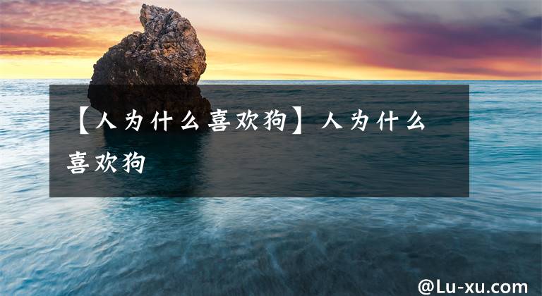 【人为什么喜欢狗】人为什么喜欢狗