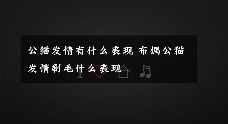公猫发情有什么表现 布偶公猫发情剃毛什么表现
