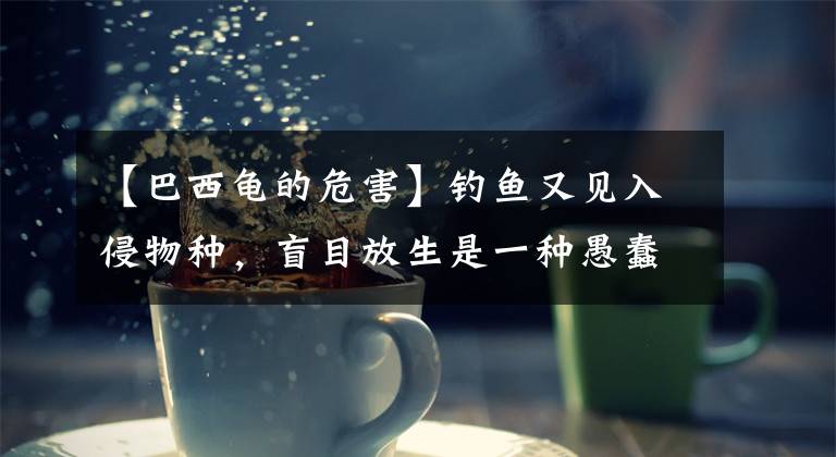 【巴西龟的危害】钓鱼又见入侵物种，盲目放生是一种愚蠢的“善良”