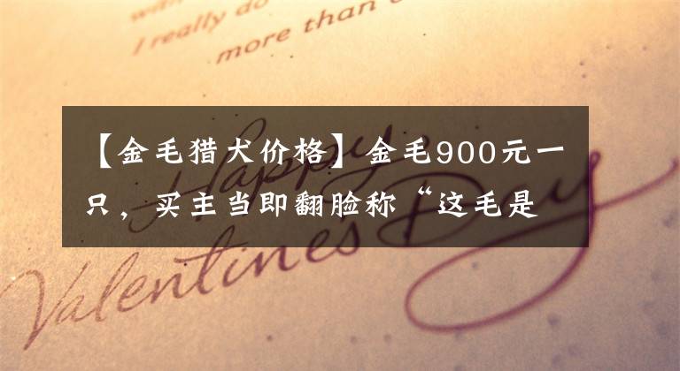 【金毛猎犬价格】金毛900元一只,买主当即翻脸称“这毛是黑的,最多600!”